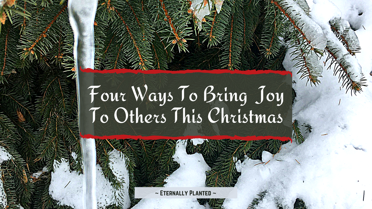 Four Ways to Bring Joy to Others This Christmas (in 2020)