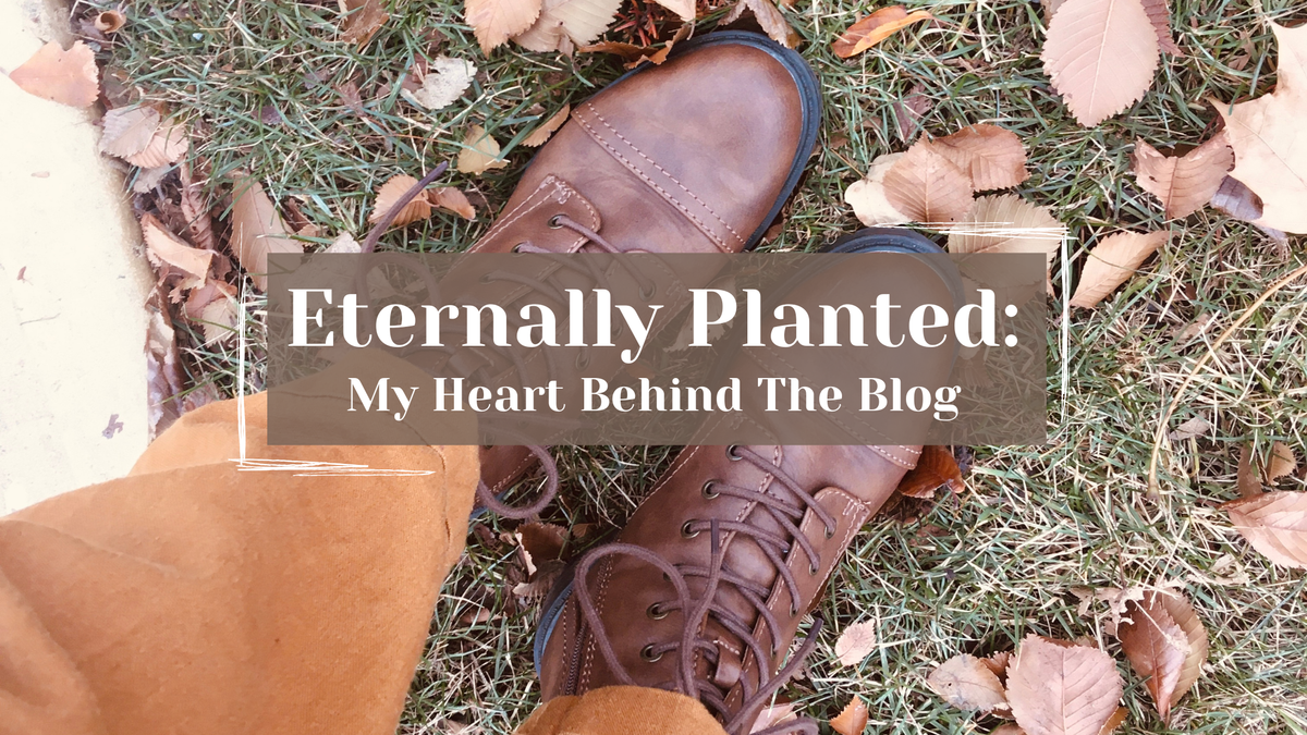 Eternally Planted: My Heart Behind The Blog