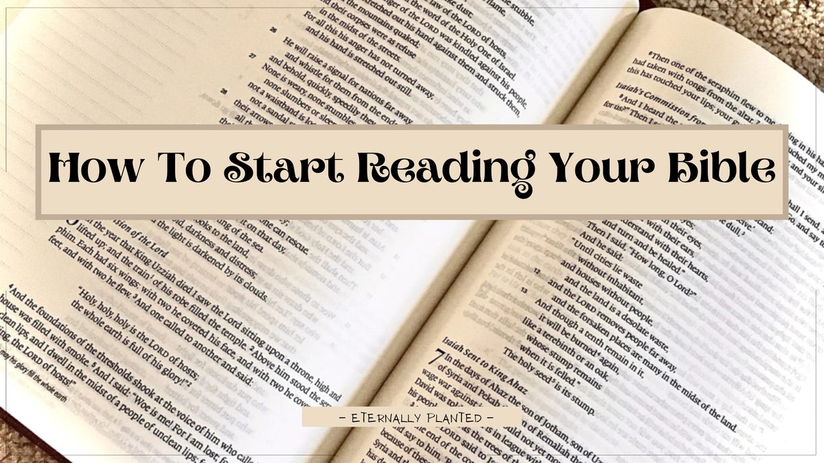 How To Start Reading Your Bible