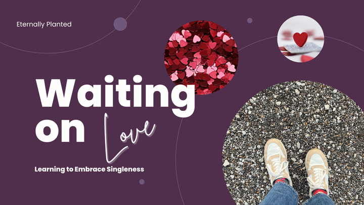 Waiting on Love: Learning to Embrace Singleness